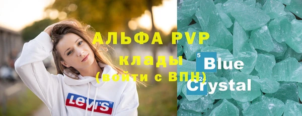 трава Няндома