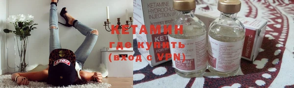 трава Няндома