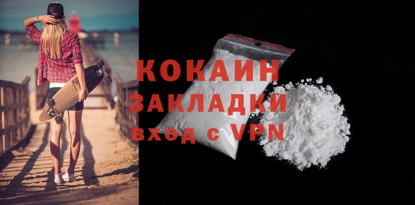 трава Няндома
