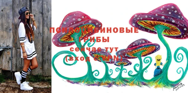 трава Няндома