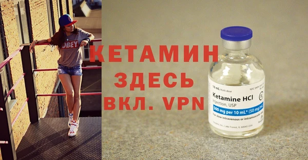 трава Няндома