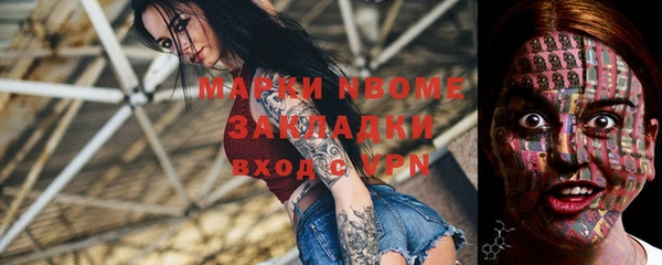 трава Няндома