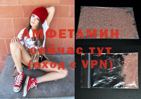трава Няндома