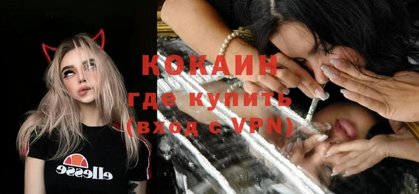 трава Няндома