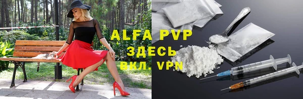 трава Няндома