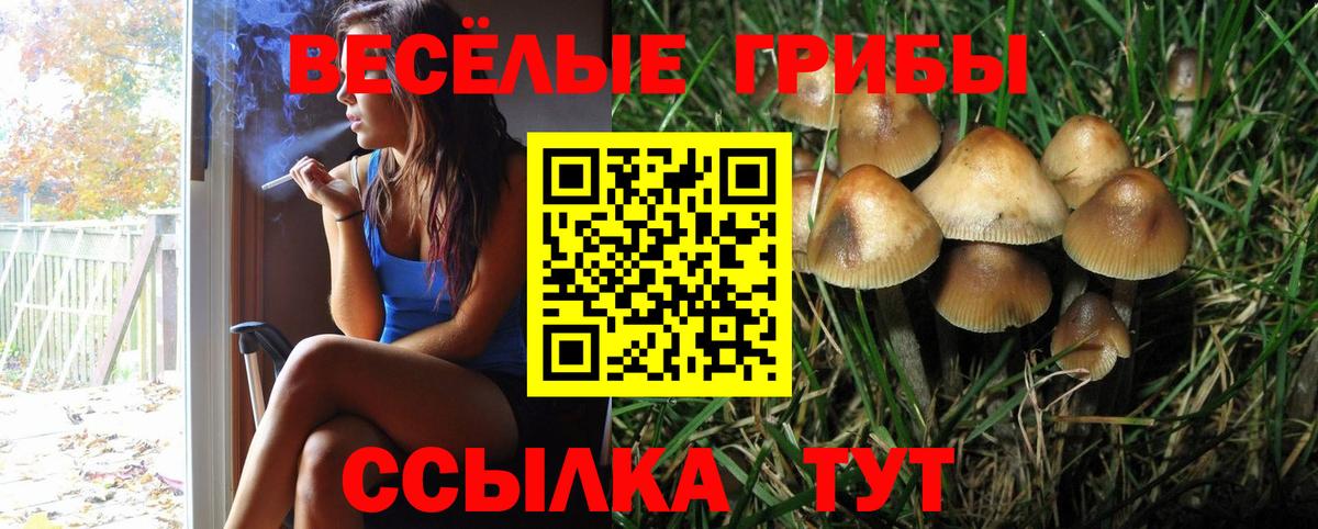 Псилоцибиновые грибы прущие грибы Пятигорск