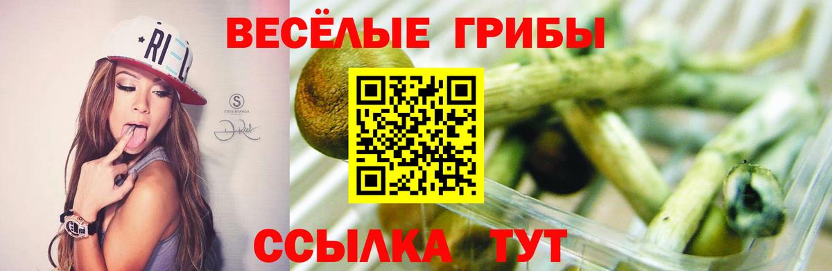 Пятигорск  Псилоцибиновые грибы ЛСД  Вход с VPN 