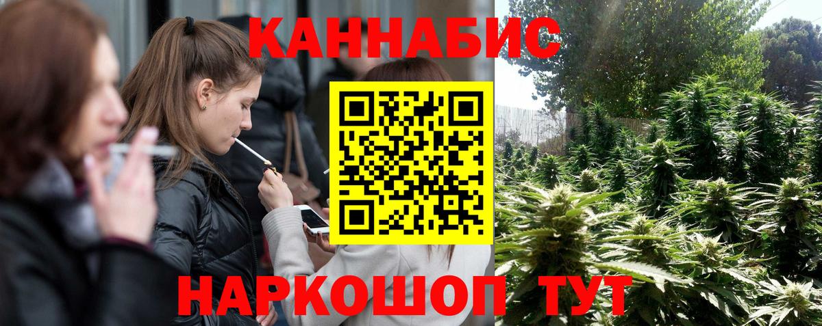 Канабис конопля Пятигорск
